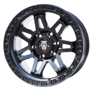 fbx053 RIMS 17 6x139,7...